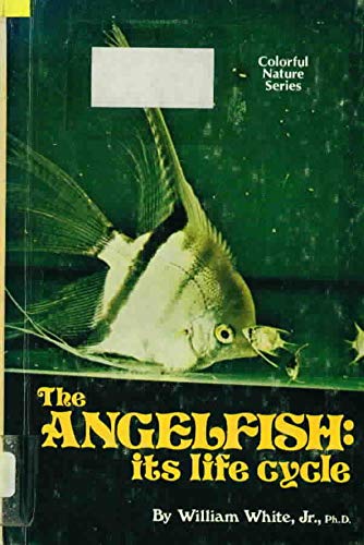 Imagen de archivo de The angelfish, its life cycle (Colorful nature series) a la venta por Wonder Book