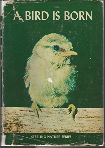 9780806935041: Bird is Born (Sterling Nature Series)