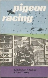 Imagen de archivo de Pigeon Racing a la venta por Wm Burgett Bks and Collectibles