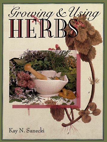 Stock image for Growing & Using Herbs for sale by HPB-Diamond