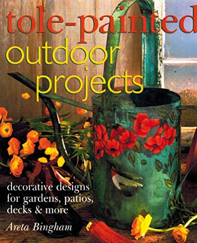 Beispielbild fr Tole-Painted Outdoor Projects: Decorative Designs for Gardens, Patios, Decks & More zum Verkauf von SecondSale