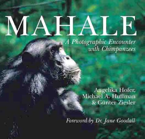 9780806958897: Mahale: A Photographic Encounter with Chimpanzees