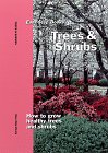 Beispielbild fr Trees and Shrubs zum Verkauf von Better World Books