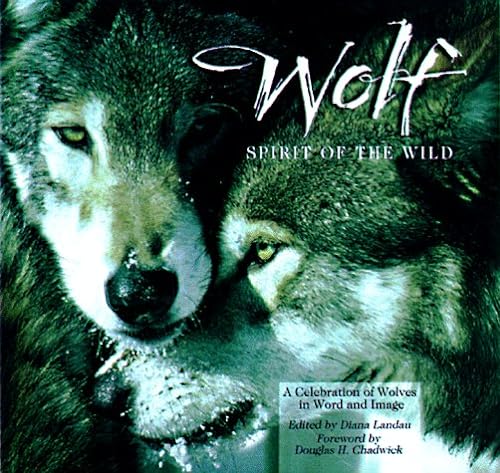Stock image for Wolf : Spirit of the Wild for sale by Better World Books