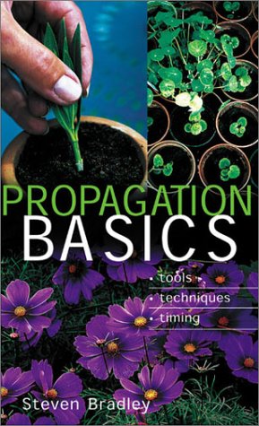 Beispielbild fr Propagation Basics : Tools - Techniques - Timing zum Verkauf von Better World Books