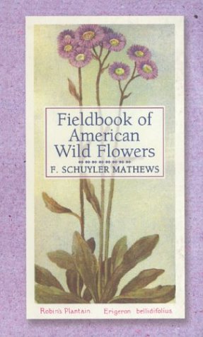 Stock image for Fieldbook of American Wild Flowers for sale by Hawking Books
