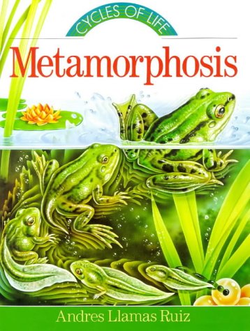 Beispielbild fr Metamorphosis (Cycles of Life Series) zum Verkauf von Half Price Books Inc.