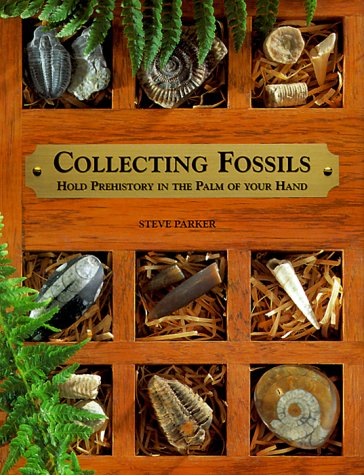 Beispielbild fr Collecting Fossils : Hold Prehistory in the Palm of Your Hand zum Verkauf von Better World Books
