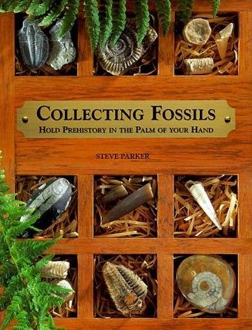Fossil Collection: Hold Pre History in the Palm of Your Hand (kit)