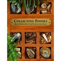 Beispielbild fr Collecting Fossils: Hold Prehistory in the Palm of Your Hand zum Verkauf von Wonder Book