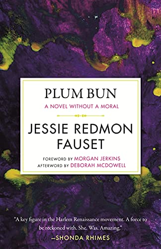 Beispielbild fr Plum Bun: A Novel Without a Moral zum Verkauf von Revaluation Books