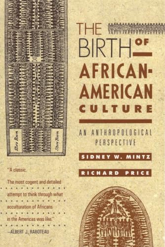 9780807009178: The Birth of African-American Culture: An Anthropological Perspective