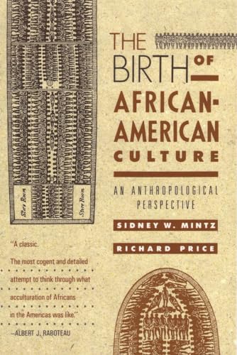 Stock image for The Birth of African-American Culture: An Anthropological Perspective for sale by Seattle Goodwill