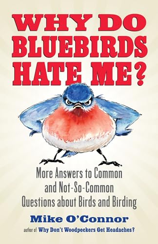 9780807012536: Why Do Bluebirds Hate Me?: More Answers to Common and Not-So-Common Questions about Birds and Birding