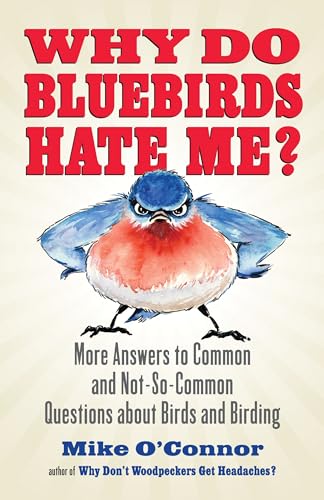 Stock image for Why Do Bluebirds Hate Me?: More Answers to Common and Not-So-Common Questions about Birds and Birding for sale by SecondSale