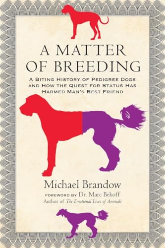 Stock image for A Matter of Breeding: A Biting History of Pedigree Dogs and How the Quest for Status Has Harmed Man's Best Friend for sale by ThriftBooks-Dallas