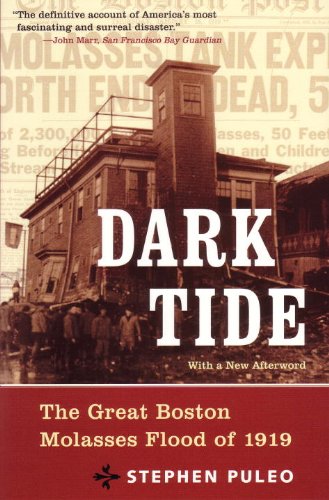 9780807050200: Dark Tide: The Great Boston Molasses Flood of 1919