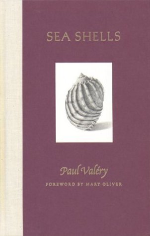 Imagen de archivo de Sea Shells a la venta por HPB-Emerald
