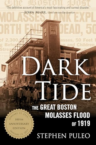 Stock image for Dark Tide: The Great Boston Molasses Flood of 1919 for sale by More Than Words