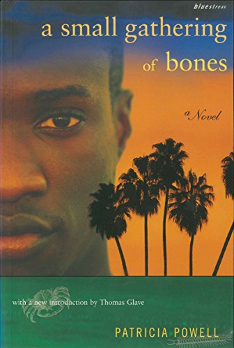 Stock image for A Small Gathering of Bones for sale by Better World Books