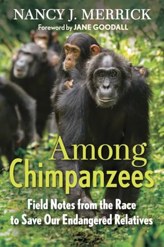 Imagen de archivo de Among Chimpanzees: Field Notes from the Race to Save Our Endangered Relatives a la venta por BookHolders