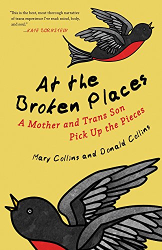 Beispielbild fr At the Broken Places : A Mother and Trans Son Pick up the Pieces zum Verkauf von Better World Books