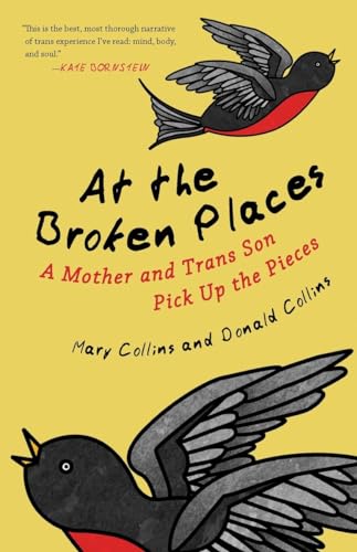 Stock image for At the Broken Places: A Mother and Trans Son Pick Up the Pieces (Queer Action/Queer Ideas, a Unique Series Addressing Pivotal Issues Within the Lgbtq Movement) for sale by ZBK Books