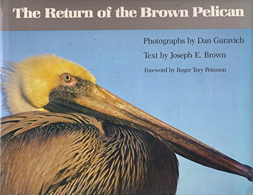 Stock image for The Return of the Brown Pelican for sale by The Calico Cat Bookshop