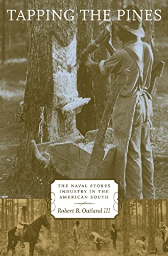 9780807129814: Tapping the Pines: The Naval Stores Industry in the American South