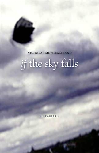 9780807131220: If the Sky Falls: Stories (Yellow Shoe Fiction)