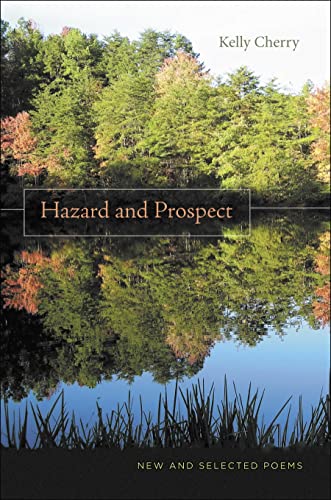 Stock image for Hazard and Prospect for sale by Blackwell's