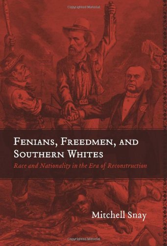 Stock image for Fenians, Freedmen, and Southern Whites: Race and Nationality in the Era of Reconstruction (Conflicting Worlds: New Dimensions of the American Civil War) for sale by HPB-Ruby