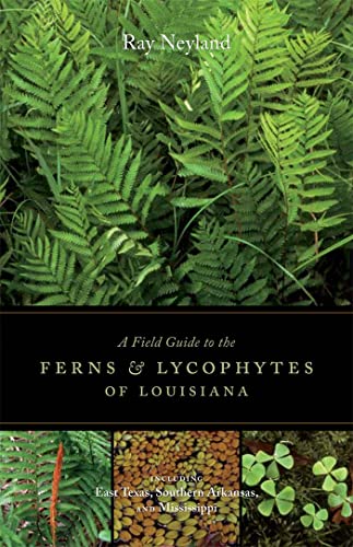 Stock image for A Field Guide to the Ferns and Lycophytes of Louisiana for sale by HPB-Red