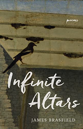 9780807164242: Infinite Altars: Poems