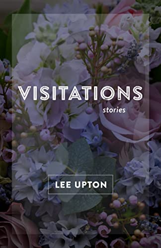 Stock image for Visitations : Stories for sale by Better World Books