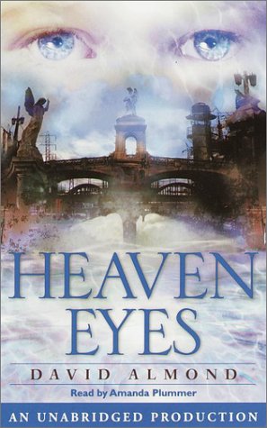 Stock image for Heaven Eyes for sale by SecondSale