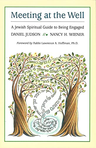 Imagen de archivo de Meeting at the Well: A Jewish Spiritual Guide to Being Engaged a la venta por Revaluation Books