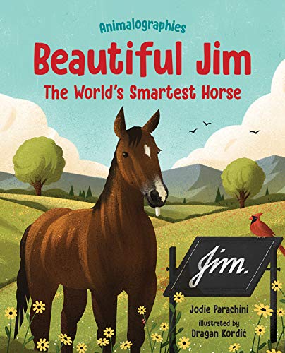 Stock image for Beautiful Jim: The World's Smartest Horse (Animalographies) for sale by Dream Books Co.
