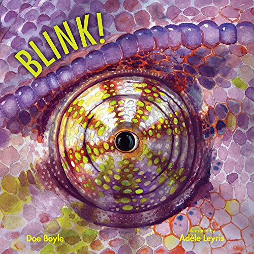 Stock image for Blink! (Imagine This!) for sale by Your Online Bookstore