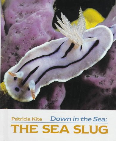 Stock image for Down in the Sea : The Sea Slug for sale by Better World Books