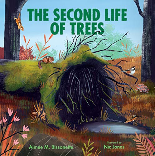 Beispielbild fr The Second Life of Trees zum Verkauf von Blackwell's