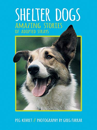 Beispielbild fr Shelter Dogs: Amazing Stories of Adopted Strays zum Verkauf von Gulf Coast Books