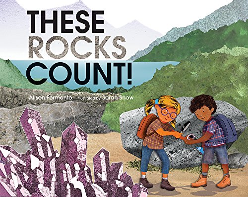 Beispielbild fr These Rocks Count! (These Things Count!) zum Verkauf von Wonder Book