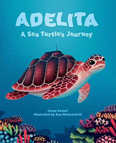 Stock image for Adelita, A Sea Turtle's Journey for sale by Books Unplugged