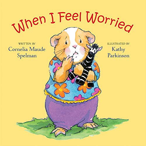 9780807589083: When I Feel Worried (The Way I Feel Books)