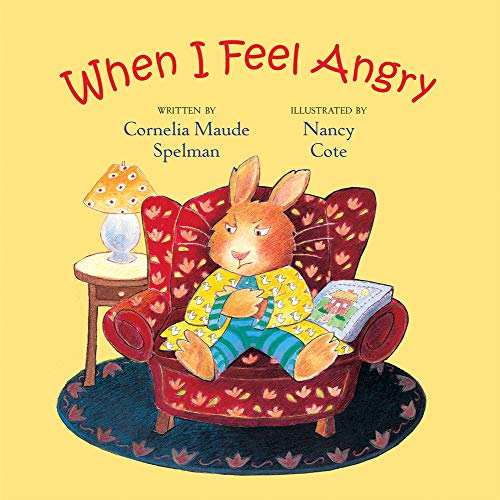 9780807589090: When I Feel Angry (The Way I Feel Books)