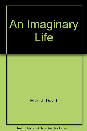 Stock image for An Imaginary Life for sale by Hippo Books
