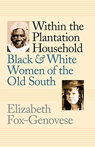 Beispielbild fr Within the Plantation Household : Black and White Women of the Old South zum Verkauf von Better World Books