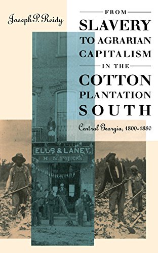 Stock image for From Slavery to Agrarian Capitalism in the Cotton Plantation South: Central Georgia, 1800-1880 (Fred W. Morrison Series in Southern Studies) for sale by Jay W. Nelson, Bookseller, IOBA