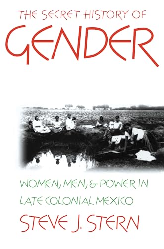 Imagen de archivo de The Secret History of Gender: Women, Men, and Power in Late Colonial Mexico a la venta por Midtown Scholar Bookstore